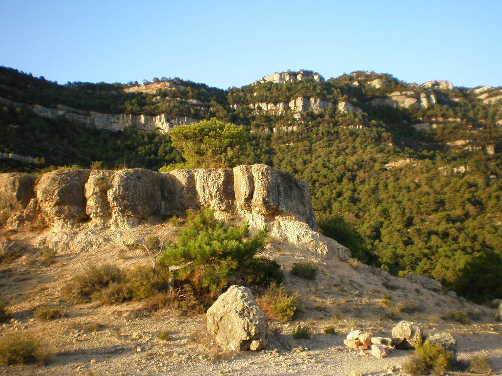 Montsant Park Camping & Bungalow Ulldemolins Exterior foto